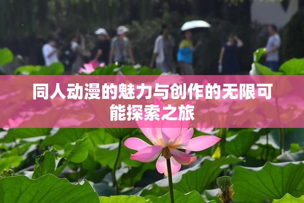同人动漫的魅力与创作的无限可能探索之旅