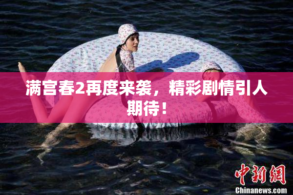 满宫春2再度来袭，精彩剧情引人期待！
