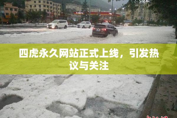 四虎永久网站正式上线，引发热议与关注