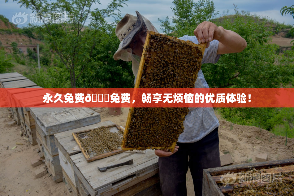 永久免费🔞免费，畅享无烦恼的优质体验！