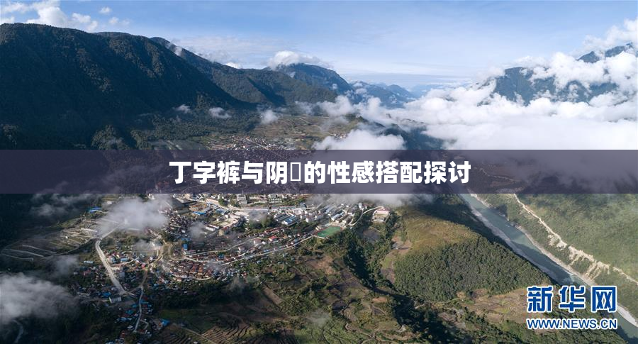 丁字裤与阴脣的性感搭配探讨
