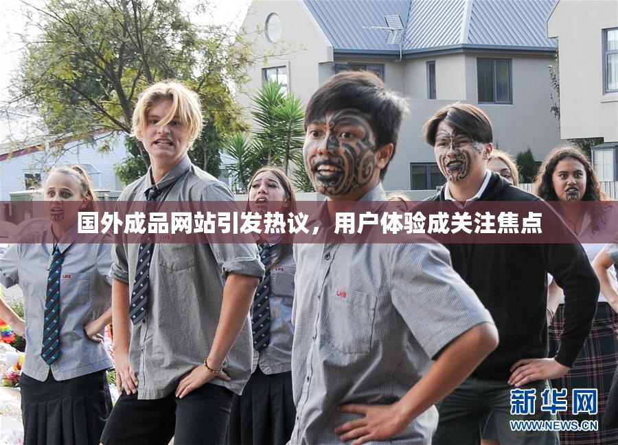 国外成品网站引发热议，用户体验成关注焦点