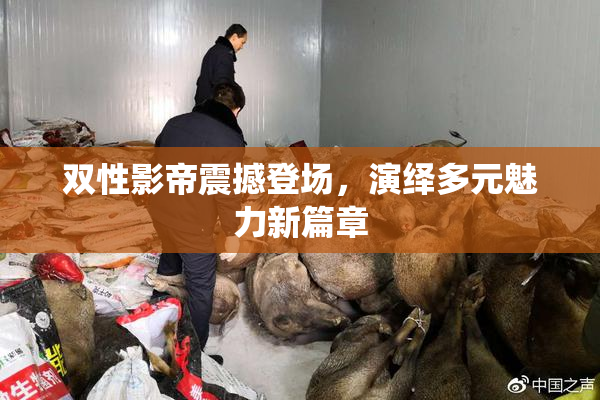双性影帝震撼登场，演绎多元魅力新篇章