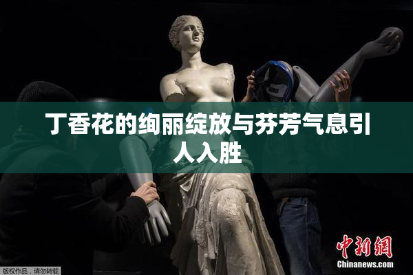 丁香花的绚丽绽放与芬芳气息引人入胜