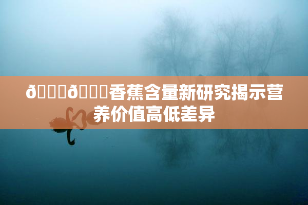 🔞🔞香蕉含量新研究揭示营养价值高低差异