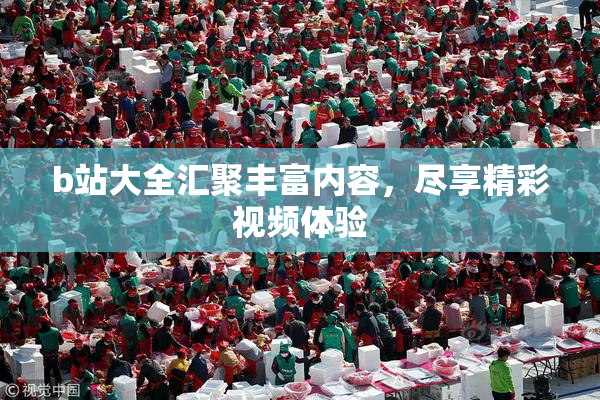 b站大全汇聚丰富内容，尽享精彩视频体验