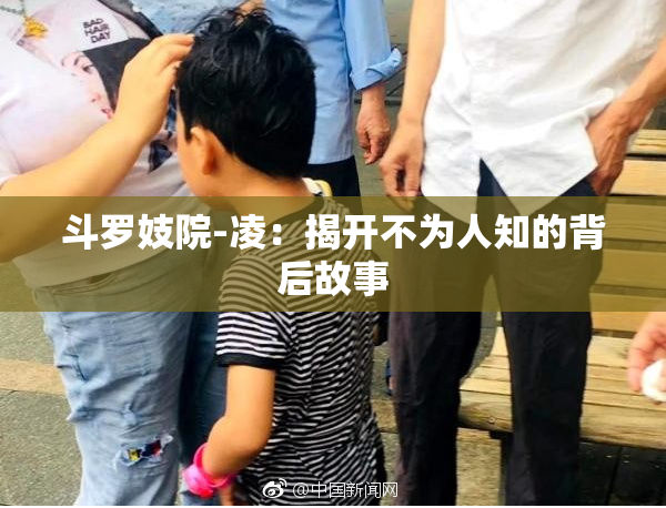 斗罗妓院-凌：揭开不为人知的背后故事