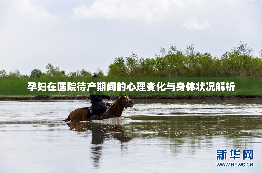 孕妇在医院待产期间的心理变化与身体状况解析