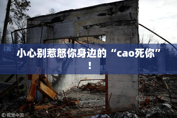 小心别惹怒你身边的“cao死你”！