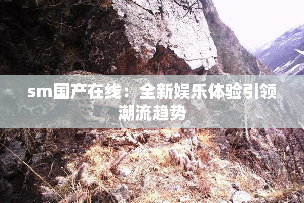 sm国产在线：全新娱乐体验引领潮流趋势