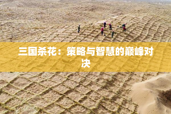 三国杀花：策略与智慧的巅峰对决