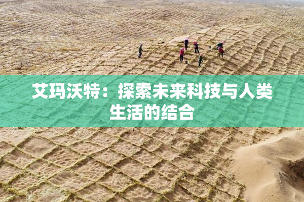 艾玛沃特：探索未来科技与人类生活的结合