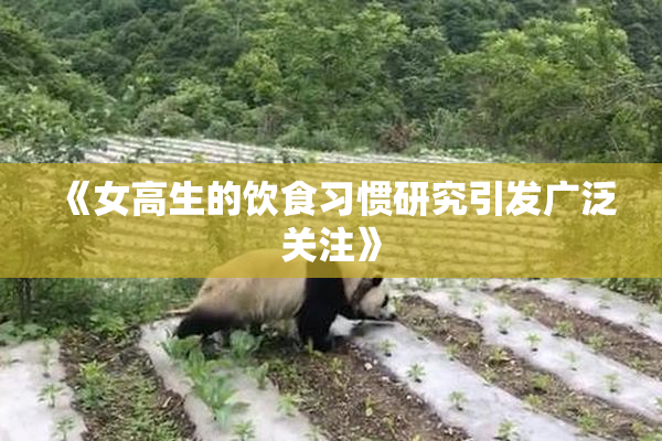 《女高生的饮食习惯研究引发广泛关注》