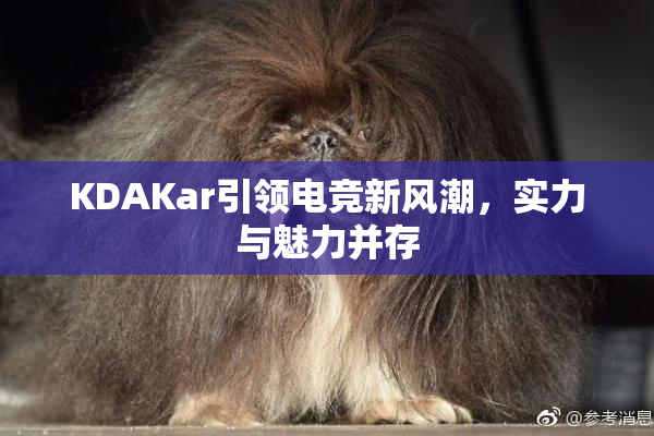 KDAKar引领电竞新风潮，实力与魅力并存