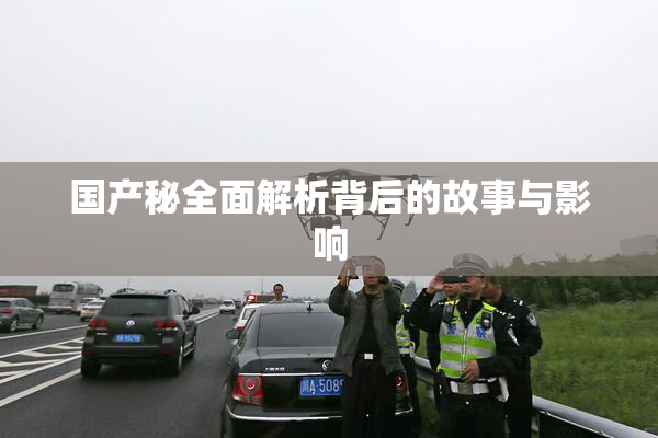 国产秘全面解析背后的故事与影响