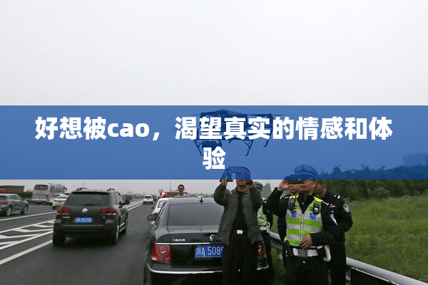 好想被cao，渴望真实的情感和体验