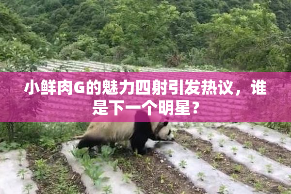 小鲜肉G的魅力四射引发热议，谁是下一个明星？