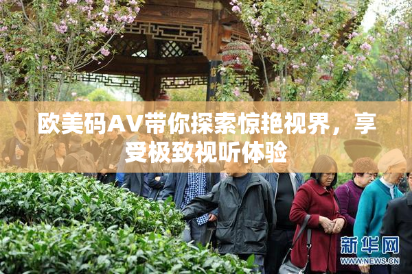 欧美码AV带你探索惊艳视界，享受极致视听体验