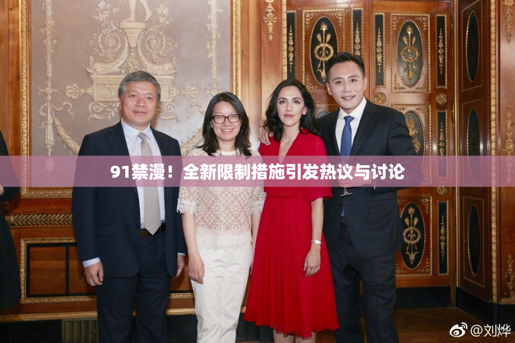 91禁漫！全新限制措施引发热议与讨论