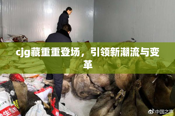 cjg藏重重登场，引领新潮流与变革