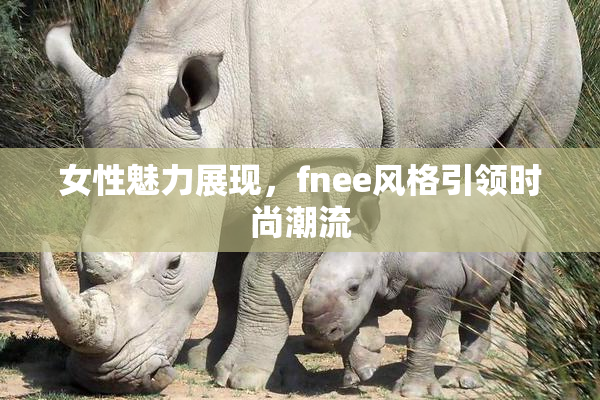 女性魅力展现，fnee风格引领时尚潮流