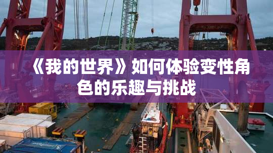 《我的世界》如何体验变性角色的乐趣与挑战
