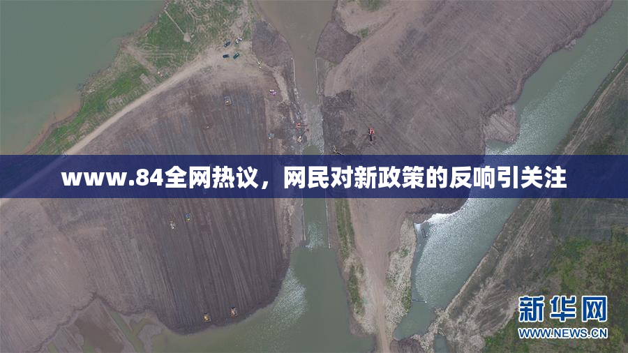 www.84全网热议，网民对新政策的反响引关注