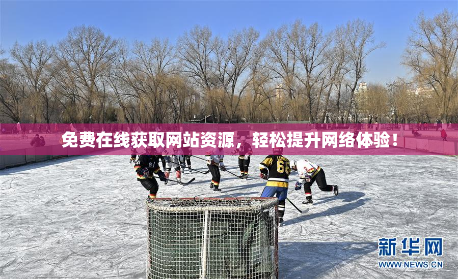免费在线获取网站资源，轻松提升网络体验！
