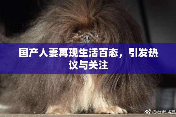 国产人妻再现生活百态，引发热议与关注