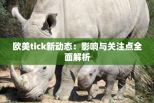 欧美tick新动态：影响与关注点全面解析