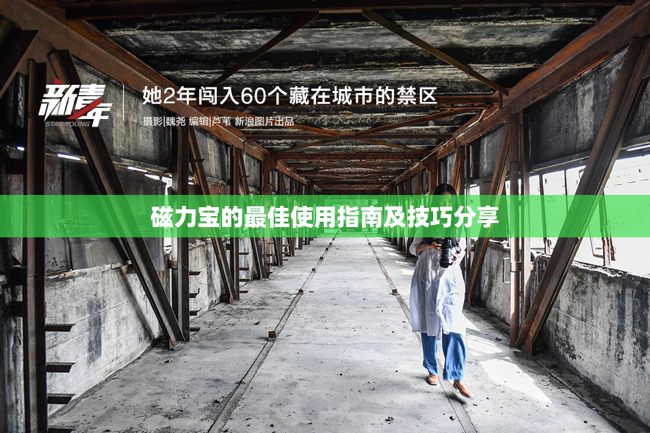 磁力宝的最佳使用指南及技巧分享