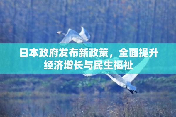 日本政府发布新政策，全面提升经济增长与民生福祉