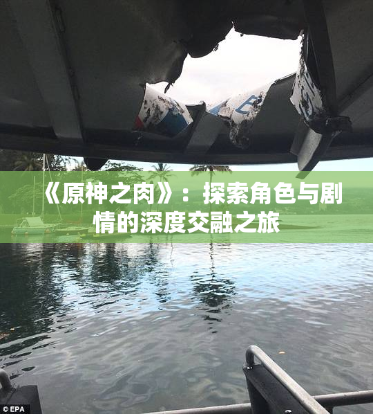 《原神之肉》：探索角色与剧情的深度交融之旅
