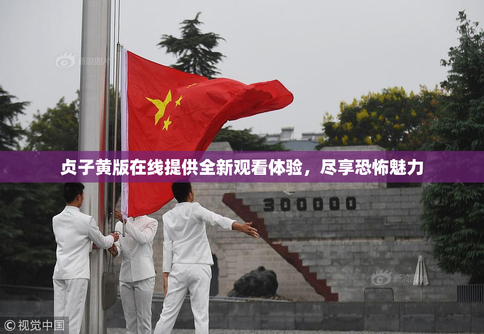 贞子黄版在线提供全新观看体验，尽享恐怖魅力