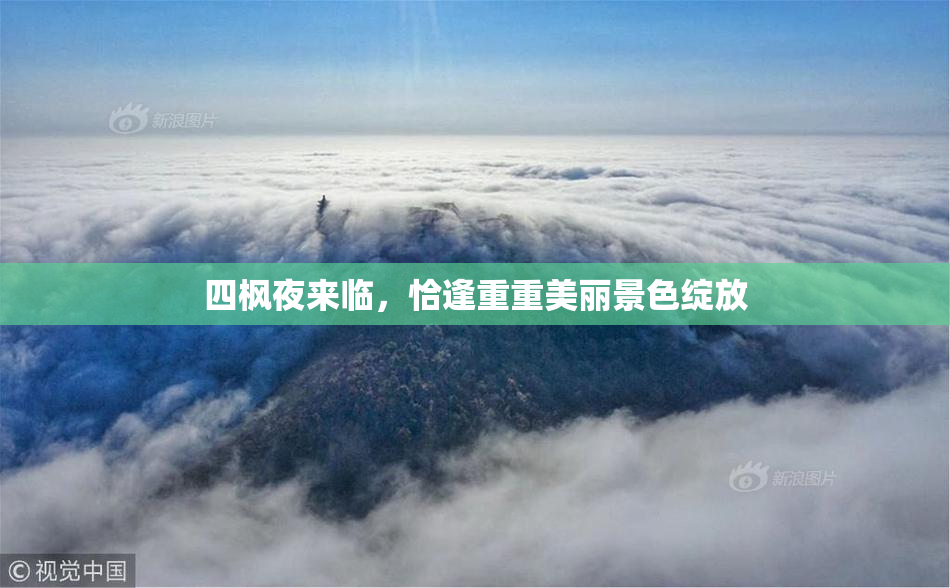 四枫夜来临，恰逢重重美丽景色绽放