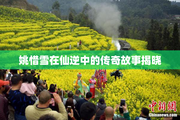 姚惜雪在仙逆中的传奇故事揭晓