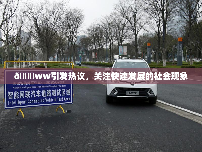 🔞ww引发热议，关注快速发展的社会现象