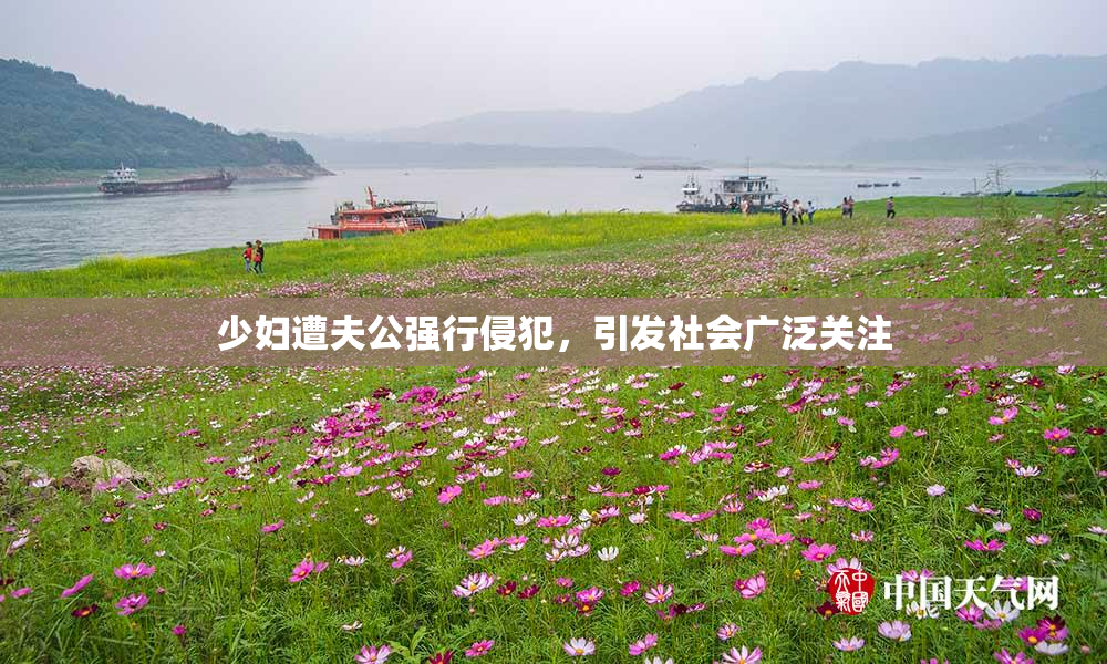 少妇遭夫公强行侵犯，引发社会广泛关注