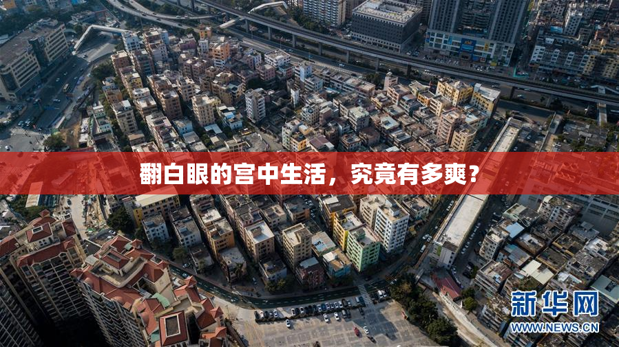 翻白眼的宫中生活，究竟有多爽？