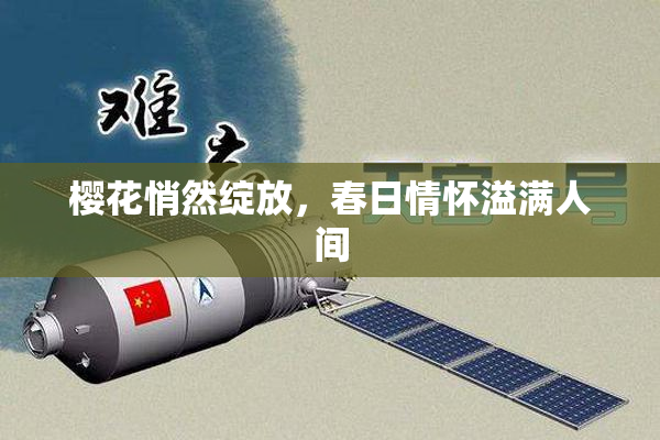 樱花悄然绽放，春日情怀溢满人间