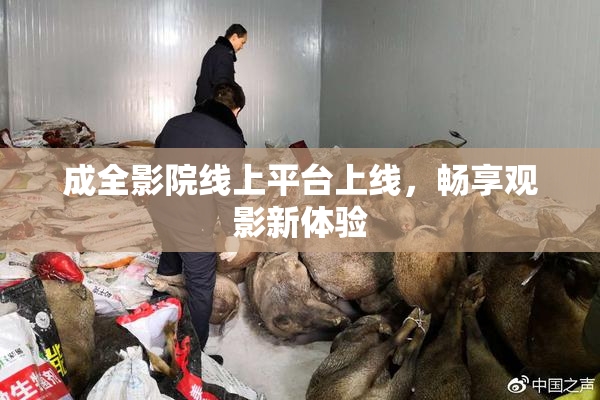 成全影院线上平台上线，畅享观影新体验