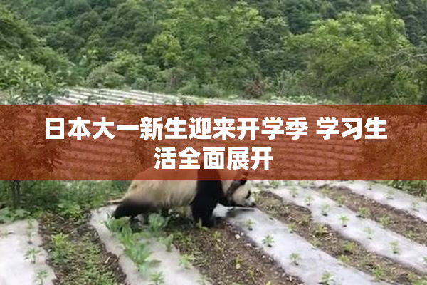 日本大一新生迎来开学季 学习生活全面展开