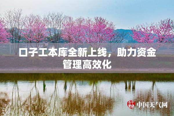口子工本库全新上线，助力资金管理高效化