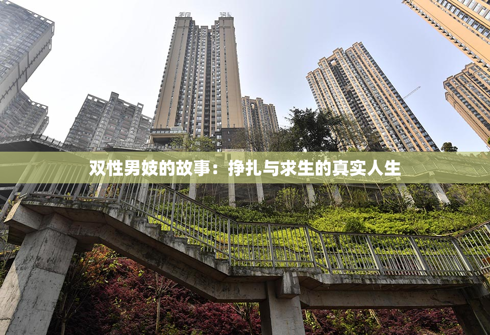 双性男妓的故事：挣扎与求生的真实人生