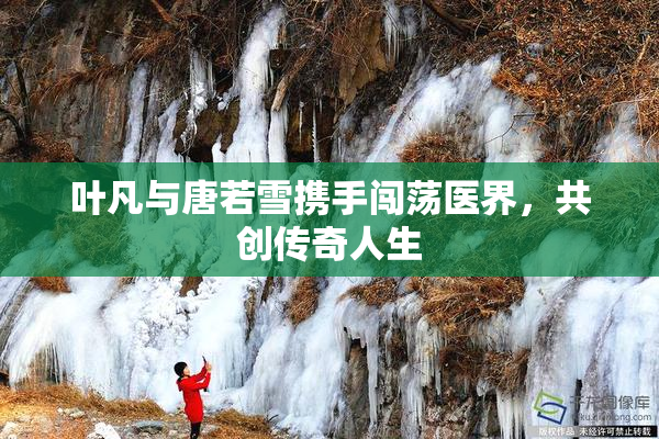 叶凡与唐若雪携手闯荡医界，共创传奇人生