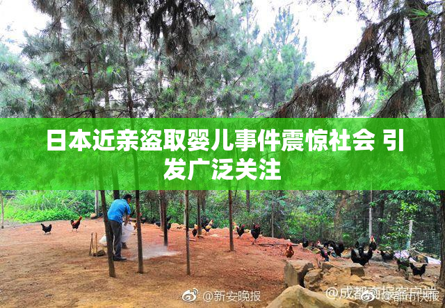 日本近亲盗取婴儿事件震惊社会 引发广泛关注