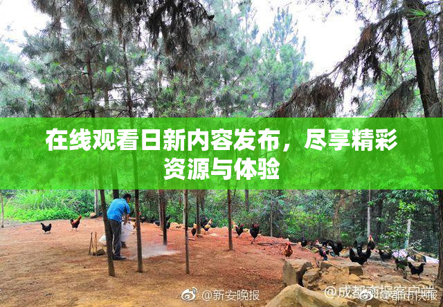 在线观看日新内容发布，尽享精彩资源与体验