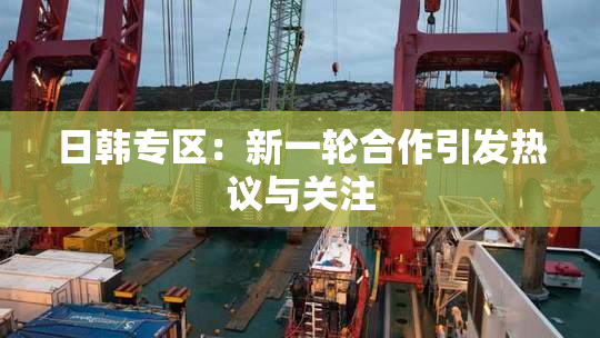 日韩专区：新一轮合作引发热议与关注
