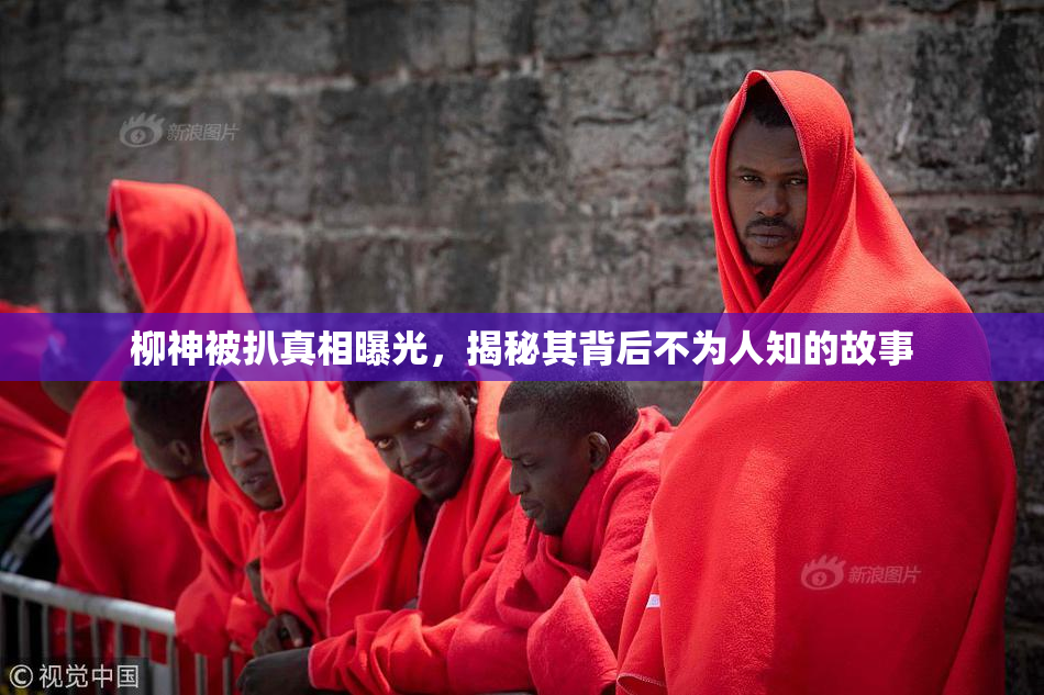 柳神被扒真相曝光，揭秘其背后不为人知的故事