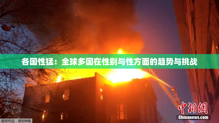 各国性猛：全球多国在性别与性方面的趋势与挑战